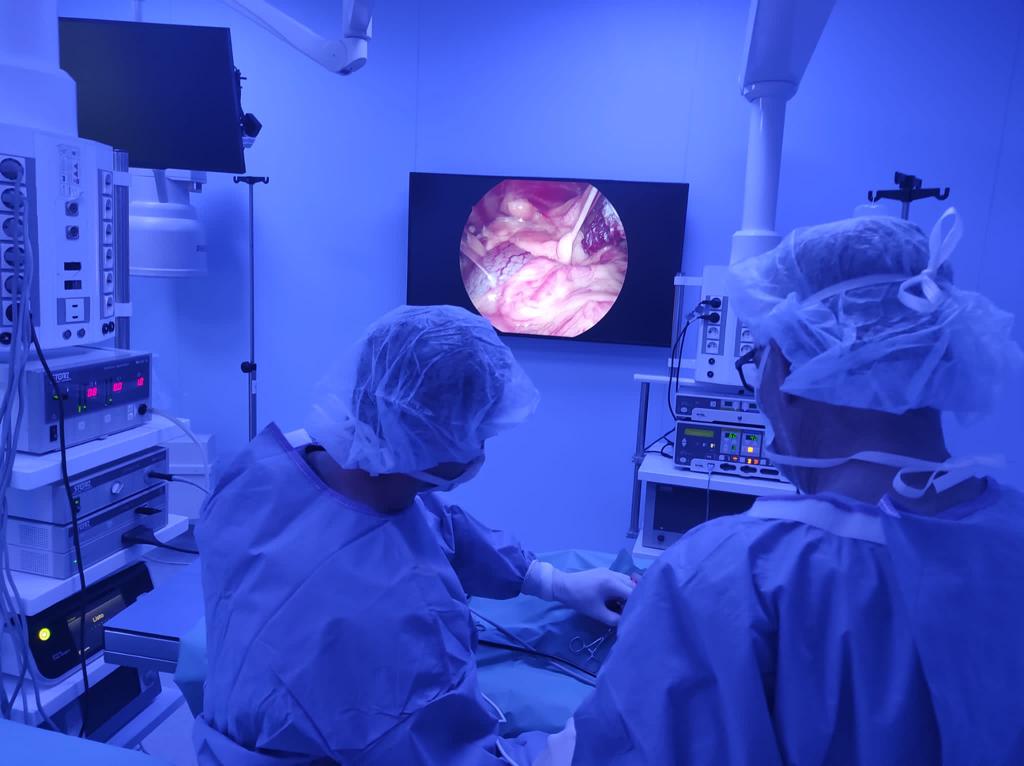 operacio quirofan veterinari
